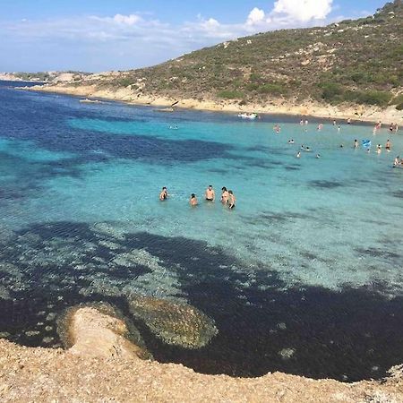 Exceptionnelle Vue Mer Calvi - Piscine - T2 Exteriör bild