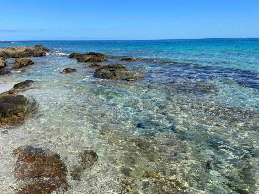 Exceptionnelle Vue Mer Calvi - Piscine - T2 Exteriör bild