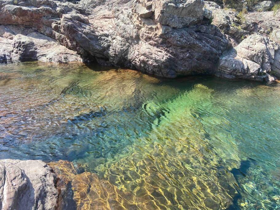 Exceptionnelle Vue Mer Calvi - Piscine - T2 Exteriör bild